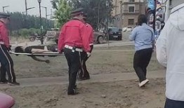 摩托哥被爆料了吗视频大全,揭秘背后真相与精彩瞬间