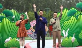 白鹭夺宝最新爆料视频大全,揭秘宝藏背后的神秘故事