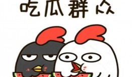 伙伴娱乐吃瓜,揭秘娱乐圈的“吃瓜”风云