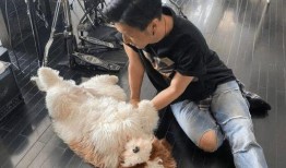 暗黑爆料网红视频,背后真相令人震惊