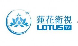 莲花卫视爆料最新消息,最新热点事件深度解析